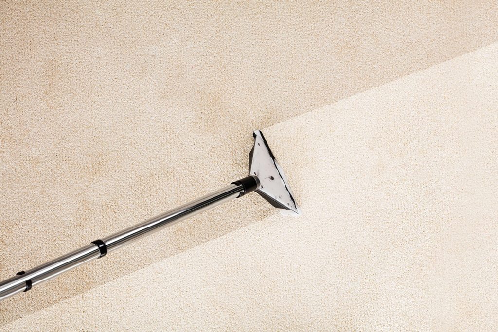 carpet cleaning sandy