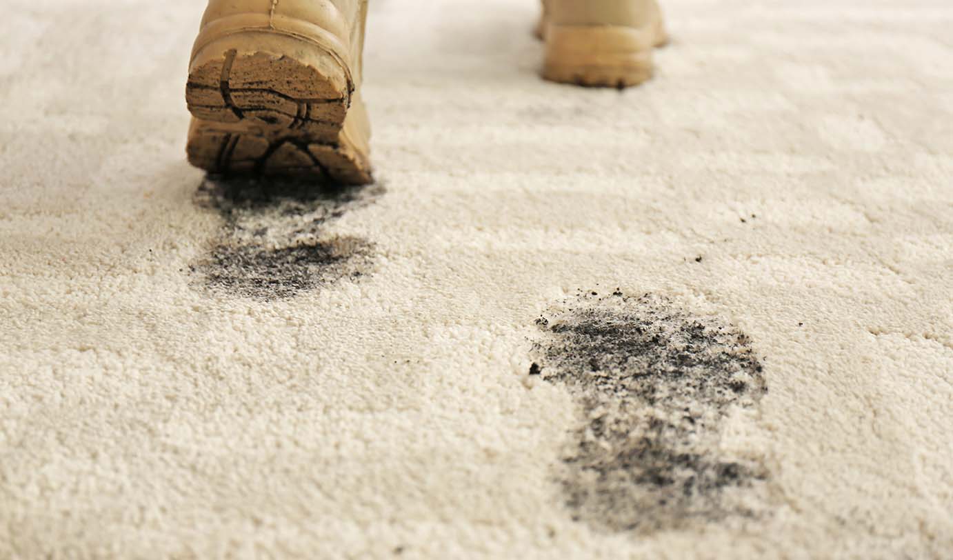 stain-removal-for-clean-carpet-tips-south-jordan