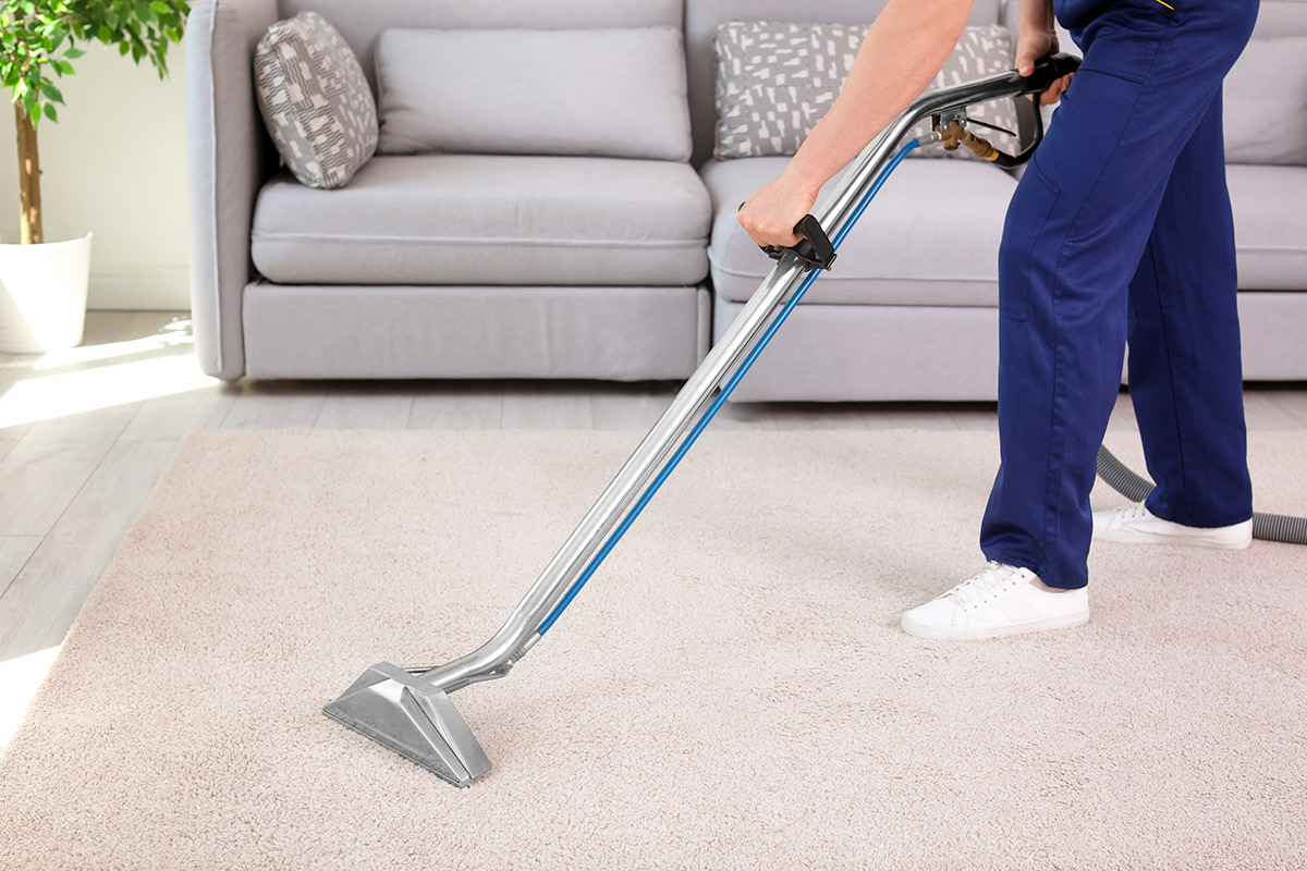 Carpet Cleaning Service In South Jordan Upholstery Cleaner